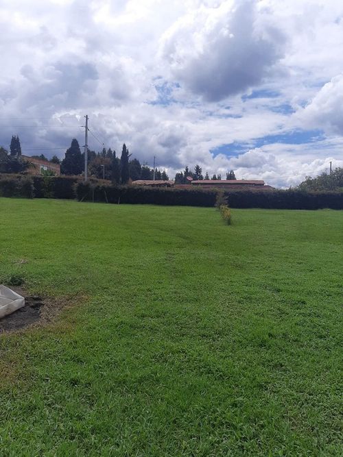 Finca en Arriendo en Hojas anchas, Guarne - Miniatura 22