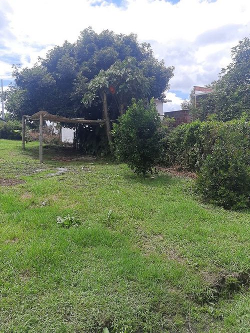 Finca en Arriendo en Hojas anchas, Guarne - Miniatura 24