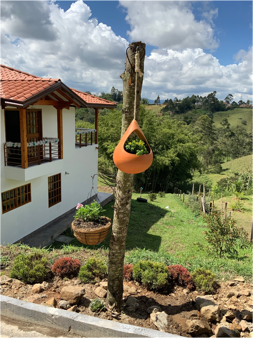 Finca en  Venta en Marinilla - Miniatura 5