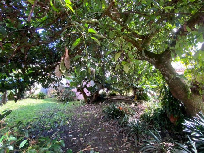 Finca en Arriendo en El Tablazo, Rionegro - Miniatura 19