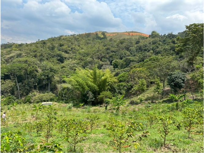 Finca en venta en Ginebra - Miniatura 12