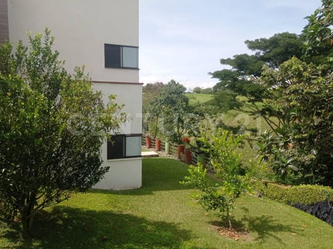 Casa en  Arriendo en La tebaida - Miniatura 5