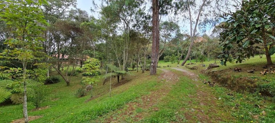 Finca en venta en Guarne - Miniatura 4