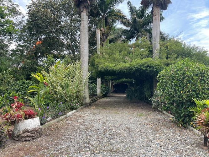 Finca en  Venta en La tebaida - Imagen 1