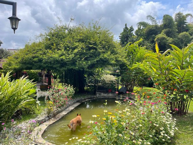 Finca en  Venta en La tebaida - Miniatura 4