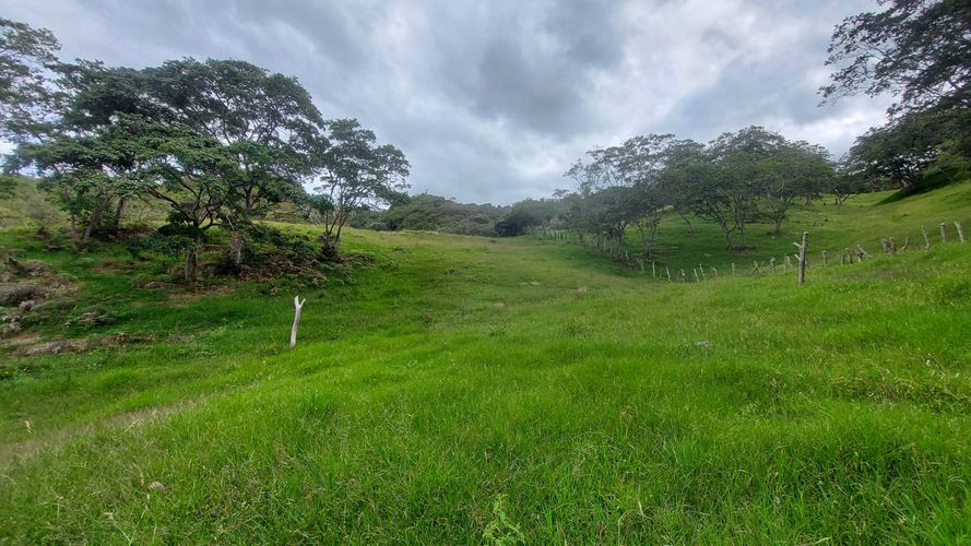 Finca en venta en Jesus maria - Miniatura 2