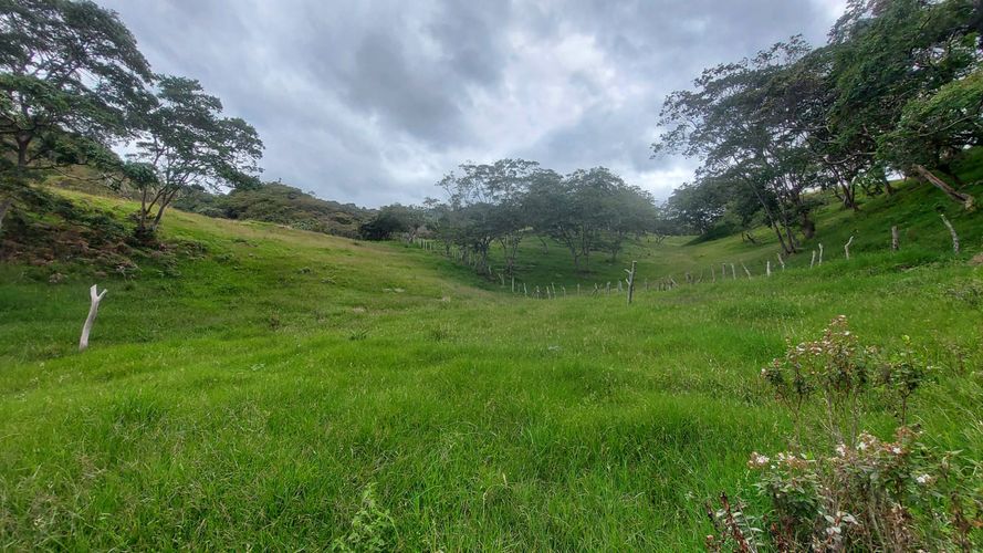 Finca en venta en Jesus maria - Miniatura 7