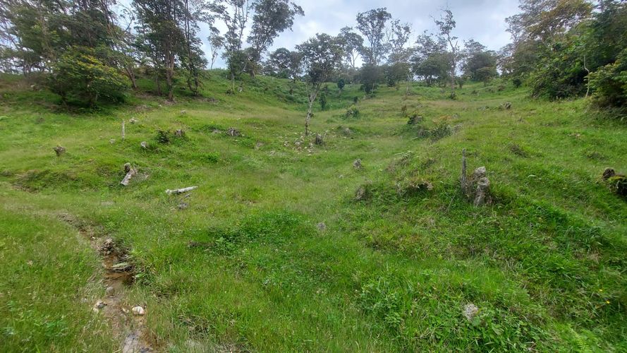 Finca en venta en Jesus maria - Miniatura 9