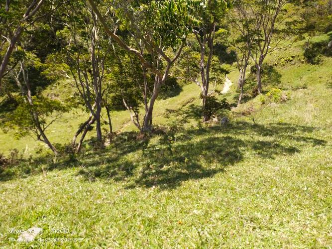 Finca en venta en Jesus maria - Miniatura 10