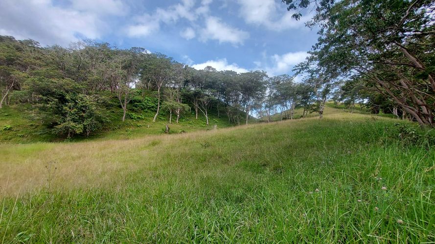 Finca en venta en Jesus maria - Miniatura 19