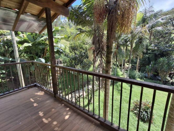 Finca en Arriendo en Guamito, La ceja - Miniatura 11