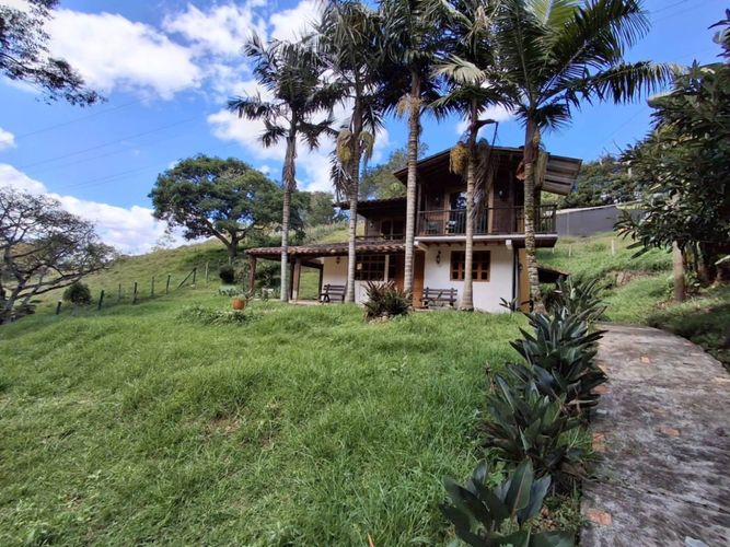 Finca en Arriendo en Guamito, La ceja - Miniatura 21