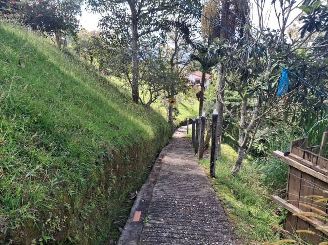 Finca en Arriendo en Guamito, La ceja - Miniatura 23