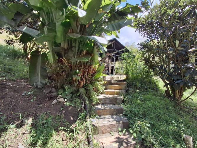 Finca en Arriendo en Guamito, La ceja - Miniatura 24
