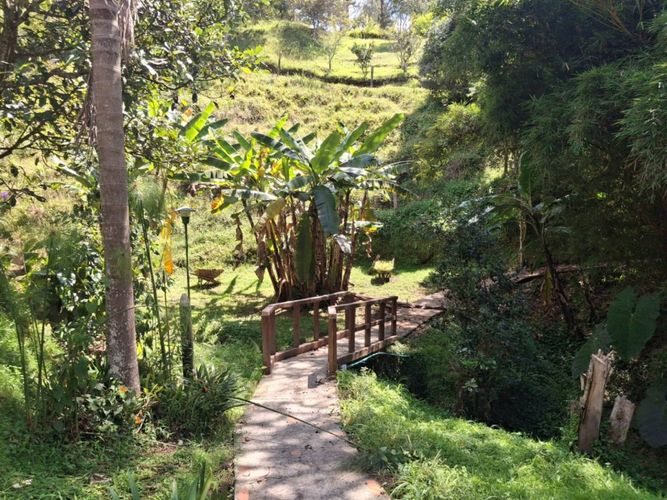 Finca en Arriendo en Guamito, La ceja - Miniatura 25