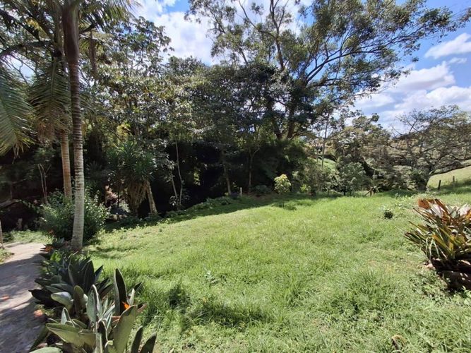 Finca en Arriendo en Guamito, La ceja - Miniatura 26