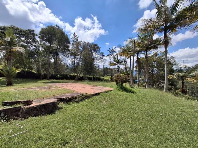 Finca en Arriendo en Guamito, La ceja - Miniatura 27