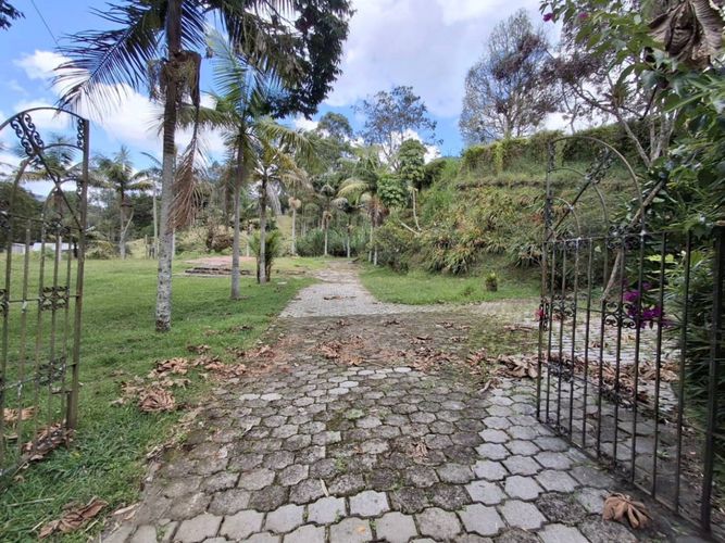 Finca en Arriendo en Guamito, La ceja - Miniatura 28