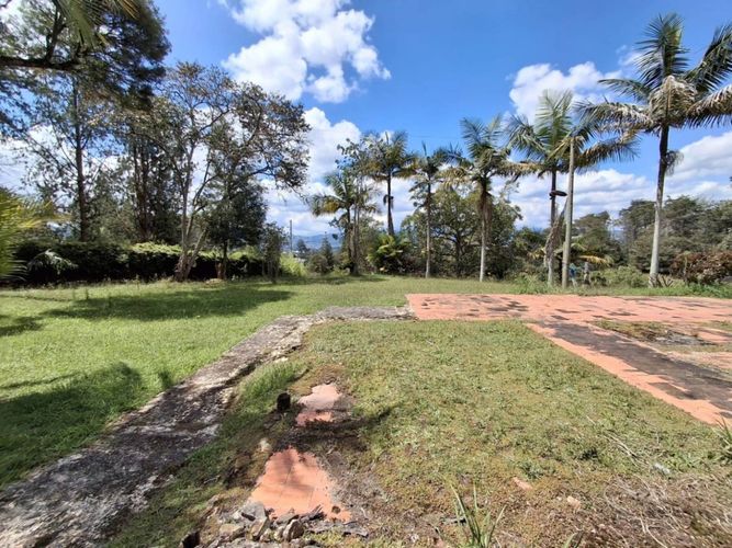 Finca en Arriendo en Guamito, La ceja - Miniatura 29
