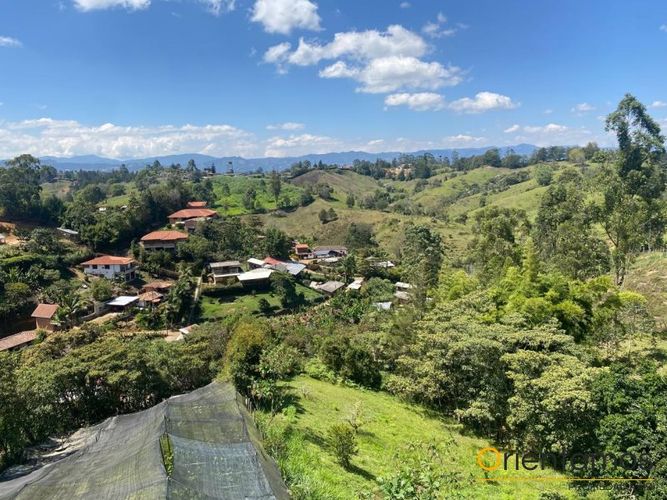 Finca en  Venta en El carmen de viboral - Miniatura 5