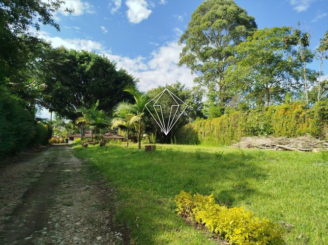 Finca en  Arriendo en El carmen de viboral - Miniatura 5