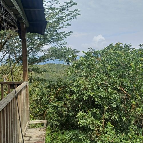 Finca en  Venta en Nocaima - Miniatura 3