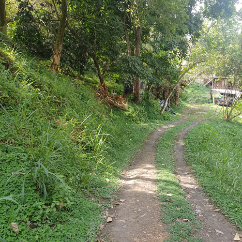 Finca en  Venta en Nocaima - Miniatura 4