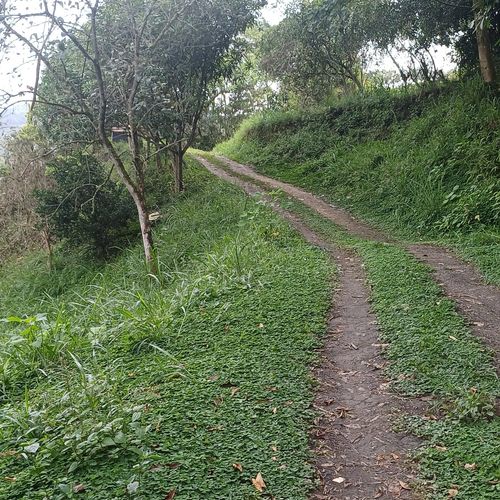 Finca en  Venta en Nocaima - Miniatura 6