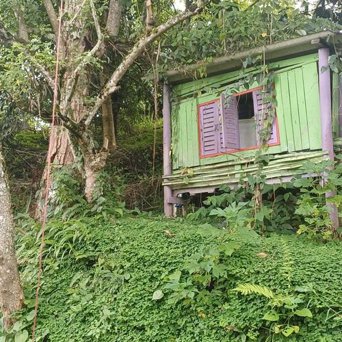 Finca en  Venta en Nocaima - Miniatura 7