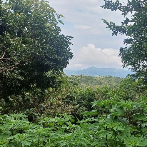 Finca en  Venta en Nocaima - Miniatura 8