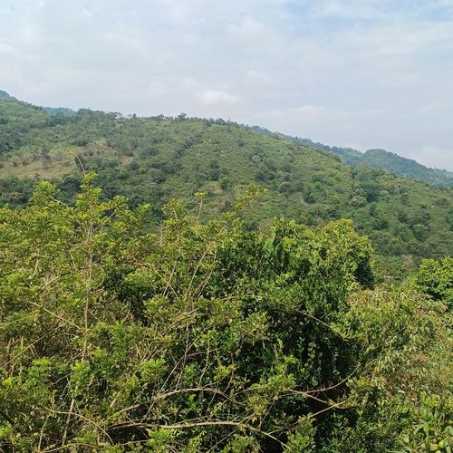 Finca en  Venta en Nocaima - Miniatura 9
