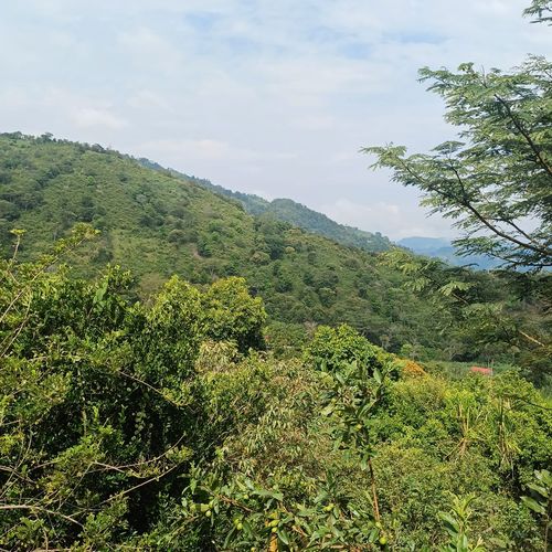 Finca en  Venta en Nocaima - Miniatura 10
