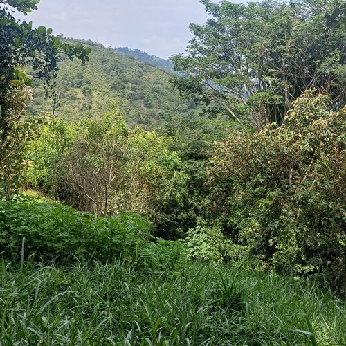 Finca en  Venta en Nocaima - Miniatura 12