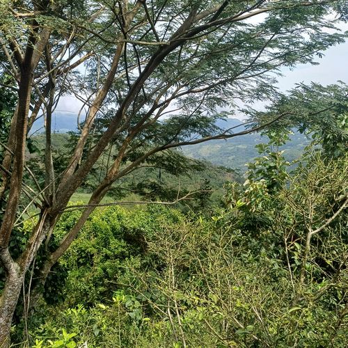 Finca en  Venta en Nocaima - Miniatura 14