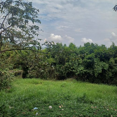 Finca en  Venta en Nocaima - Miniatura 16