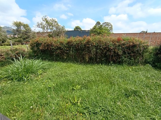 Finca en  Arriendo en La ceja - Miniatura 25