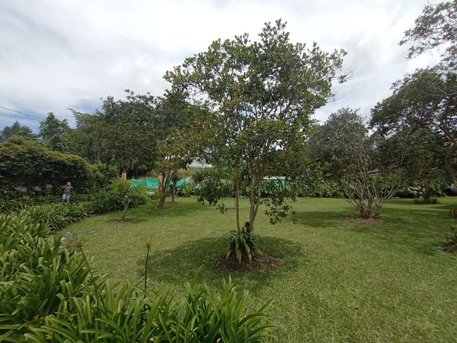 Finca en Arriendo en Rionegro - Miniatura 13
