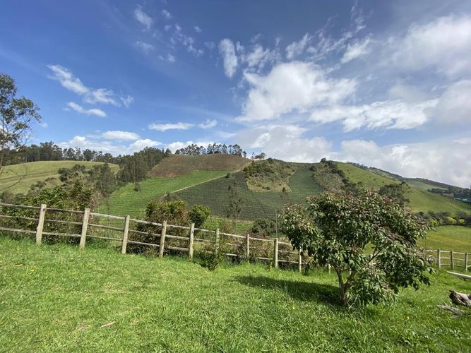 Finca en  Arriendo en El chuscal, Zipacon - Miniatura 6