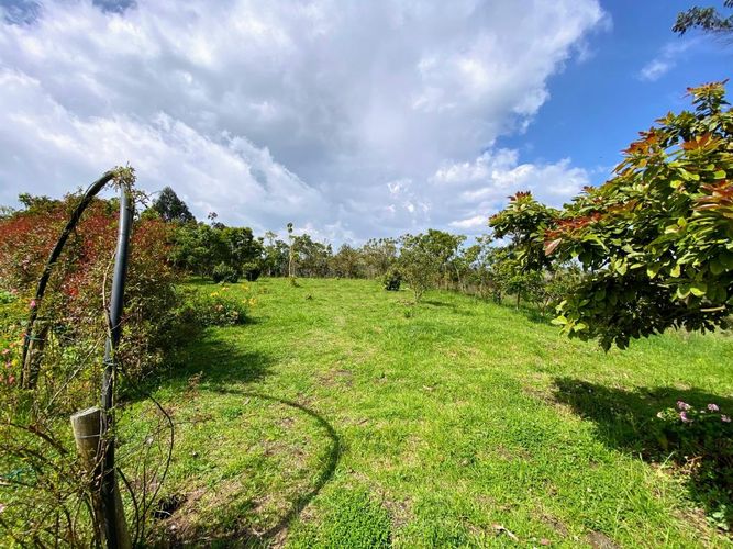 Finca en  Arriendo en El chuscal, Zipacon - Miniatura 7