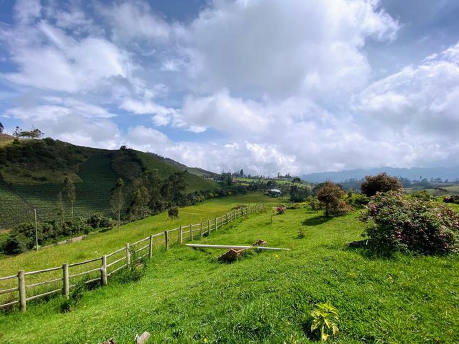 Finca en  Arriendo en El chuscal, Zipacon - Miniatura 8