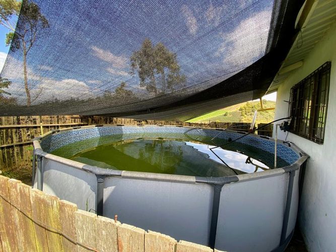 Finca en  Arriendo en El chuscal, Zipacon - Miniatura 11