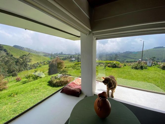 Finca en  Arriendo en El chuscal, Zipacon - Miniatura 19