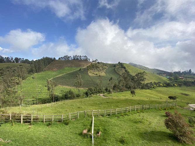Finca en  Arriendo en El chuscal, Zipacon - Miniatura 24