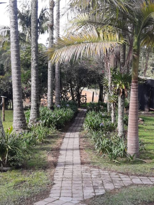 Finca en Arriendo en El carmen de viboral - Miniatura 17
