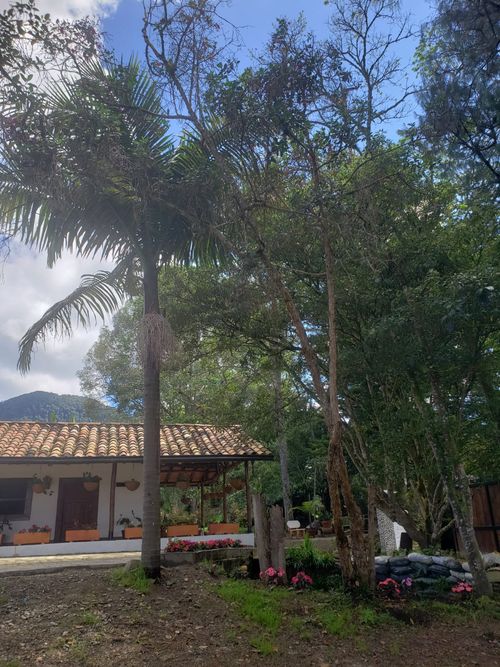 Finca en Arriendo en El carmen de viboral - Miniatura 20
