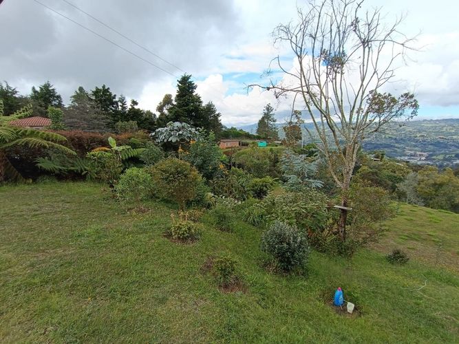 Finca en Arriendo en Guarne - Miniatura 16