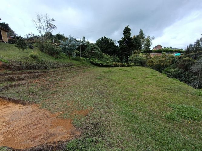 Finca en Arriendo en Guarne - Miniatura 17