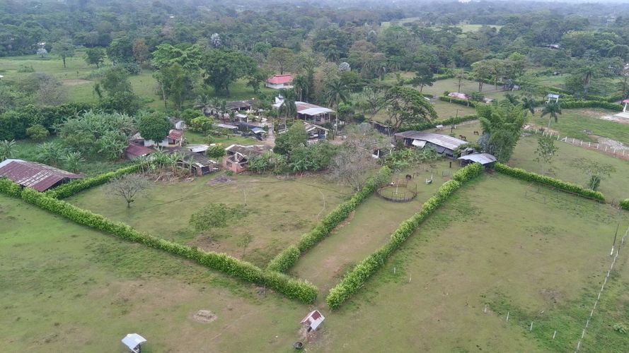 Finca en Venta en El triunfo, Cumaral - Miniatura 14