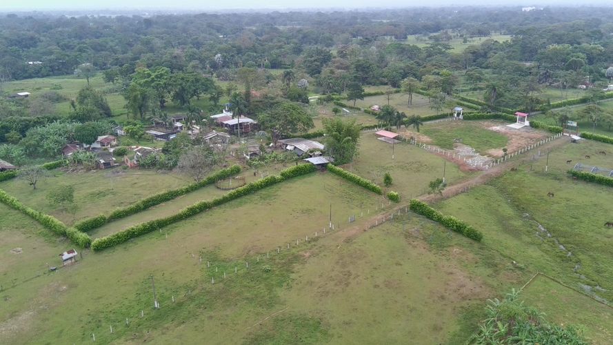 Finca en Venta en El triunfo, Cumaral - Miniatura 15