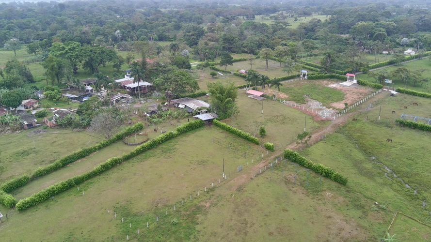 Finca en Venta en El triunfo, Cumaral - Miniatura 17